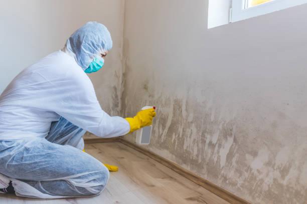 Mold Remediation specialist working in Newville
